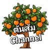 ต้นส้ม ชาแนล