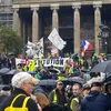 tigresjaune2.0