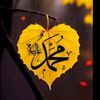 user3971471512333