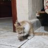 amayraniespinosa08