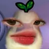 nk_2395