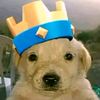 alex_clash8