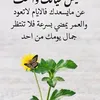 user3116575199730