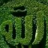 .sabry.mohamed8