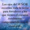rolando.garrido
