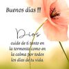 el.mgico