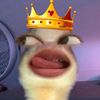 elsaamanda010
