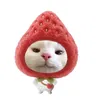 hochiminh_doclap