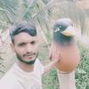 babul.hosen.roni