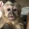 aransa_02