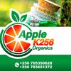 applek256_2