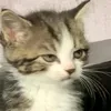 whyareyoulookingatmypf