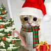 jayvie_rious