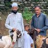 omarfarooq92786kashmiri