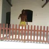 paulo.andr.guerra