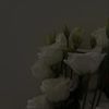 ya_qeen5