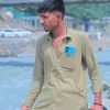 tortoofan125