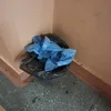 хаунд