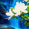 user5714732019690