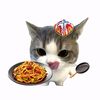 7kitttttty