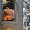 samira47_zh