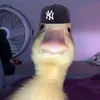 jkeaa0