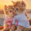 hanilove2326