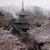 marututu3