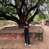 mgshwe123456789
