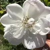 ellischristie71
