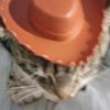 mateorigobertogar