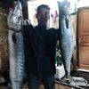 arya.w.arya