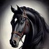 alikhan_6563