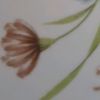 nouranwara63