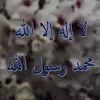 user9812087041881