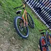 harrison_579