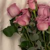 at_316