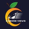 odroneviews