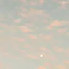 userajib2023