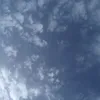 user452608111931