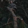 mamkin_militarist6