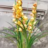 anh.tran6541