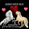 mirnaclaros5