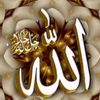 user138550982704644