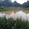 xuanthanh0483