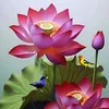 duyphng377