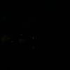 they_fw_gio_444