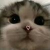 hannah_banana1357