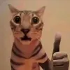 pervertspotted