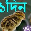 md..hassan.mahamod